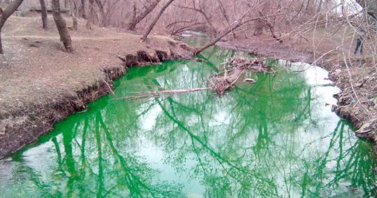 В Кировограде вода в реке стала ярко-зеленой
