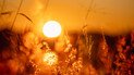 Какой день ангела 23 сентября