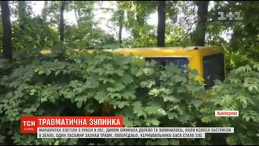 На Львівщині маршрутка з пасажирами на швидкості з'їхала з траси