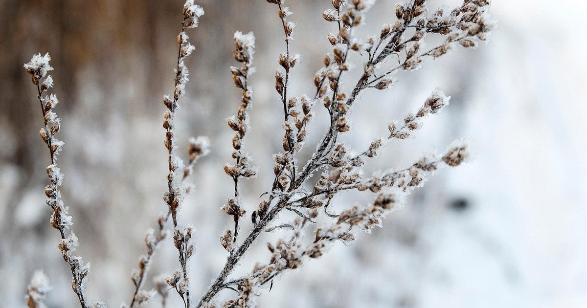 Погодні умови зміняться