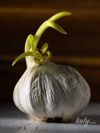 пророслий часник