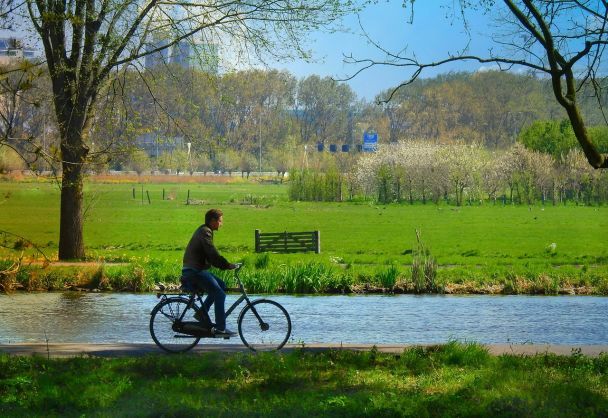 Фізична активність / Фото: pixabay.com