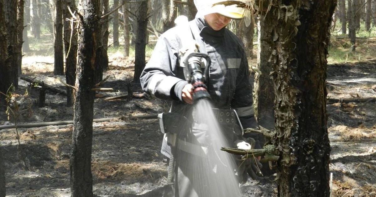 На Херсонщине почти четыре часа тушили масштабный пожар в большом лесу