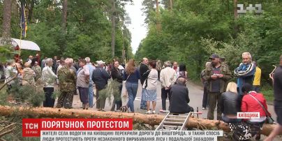 На Київщині люди перекрили дорогу, протестуючи проти вирубування лісу