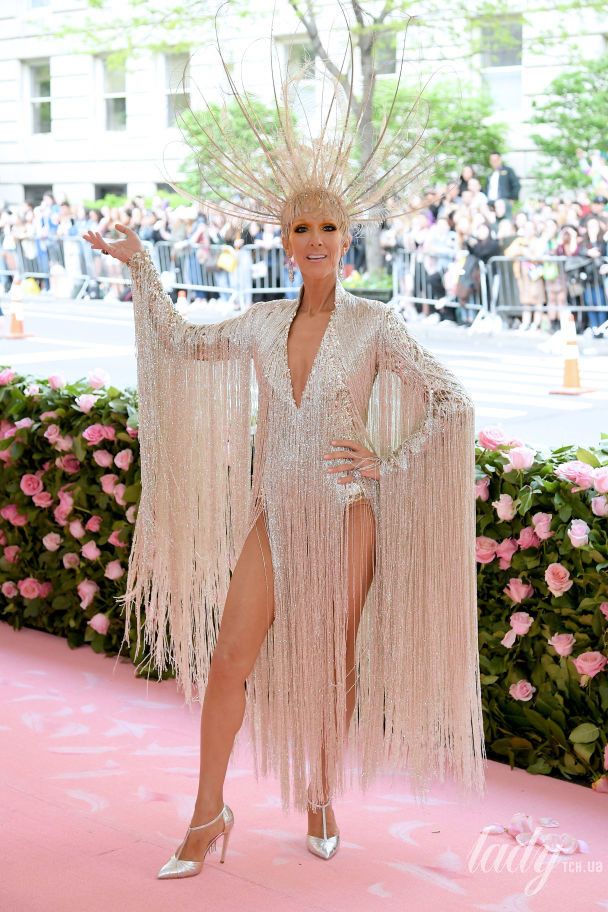Селин Дион на Met Gala 2019 / © Getty Images