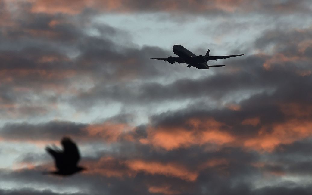 Птах летить на передньому плані, у той час як пасажирський літак йде на посадку у напрямку до аеропорту Хітроу в західній частині Лондона, Великобританія. / © Reuters