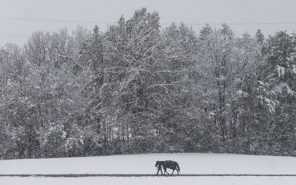 В Австрію раптово повернулася зима. / © Reuters