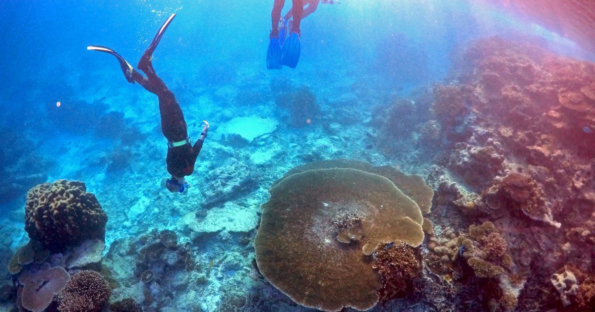 Великий бар'єрний риф_2 / © Reuters