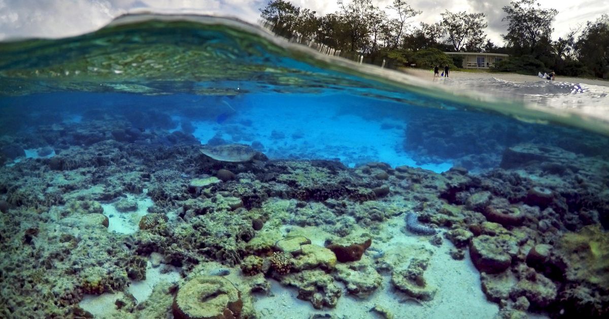 Великий бар'єрний риф_3 / © Reuters