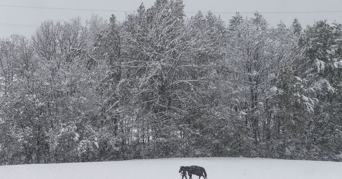 В Австрию внезапно вернулась зима. / © Reuters