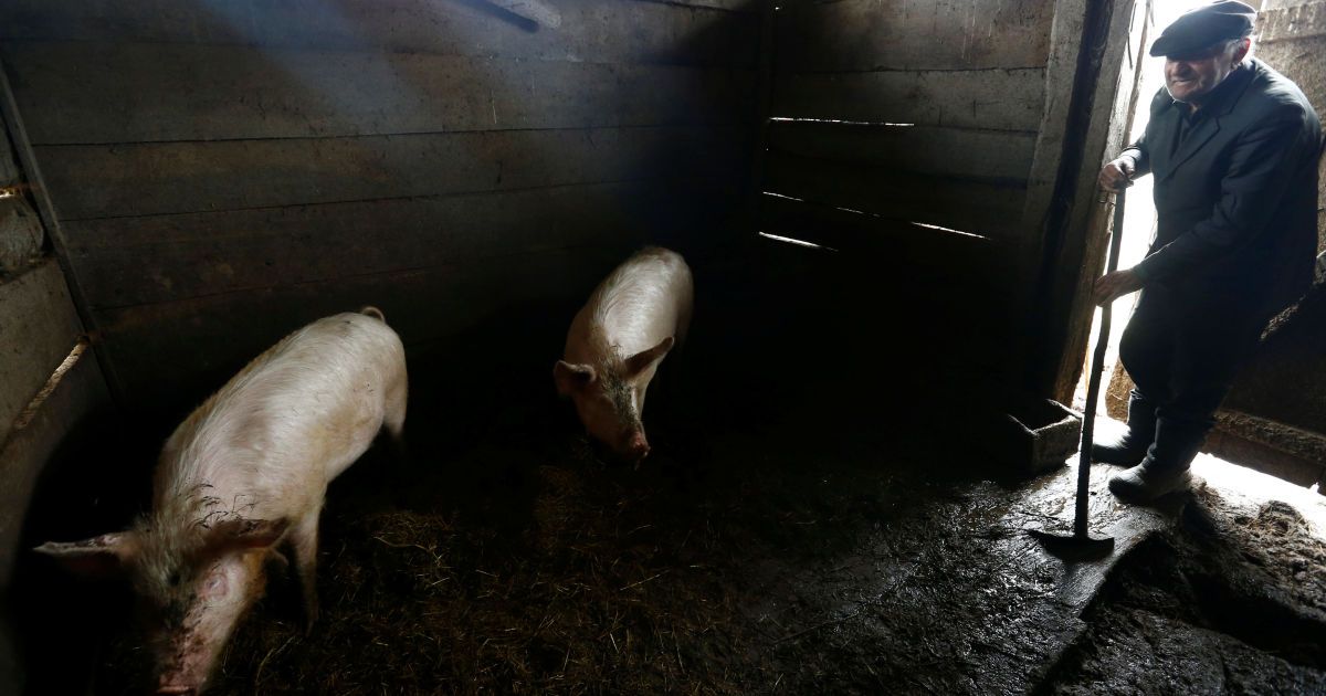 Иван Шамьянок всю свою жизнь прожил в зоне отчуждения. / © Reuters