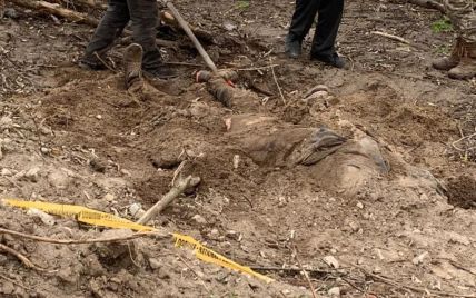 Зірвані нігті, зв'язані руки: на Київщині виявили поховання закатованих цивільних (фото)