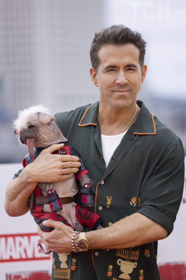 Догпул / © Associated Press