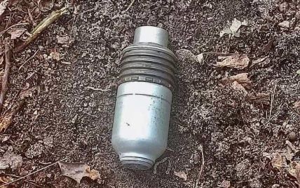 На Київщині собака знайшов гранату до підствольного гранатомету під час прогулянки місцевим лісом