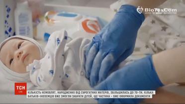 В иностранцев появился шанс забрать из Украины детей, которых им родили суррогатные матери