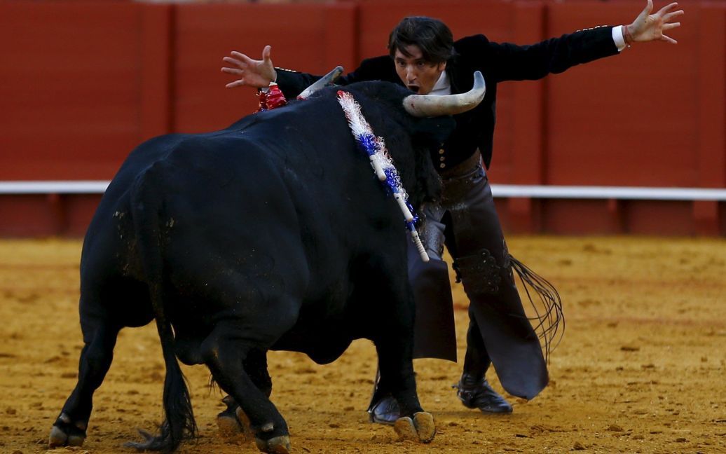Португальський тореадор Дієго Вентура жестикулює перед биком під час кориди на арені &ldquo;Маестранса&rdquo; в столиці Андалусії Севільї, на півдні Іспанії. / © Reuters
