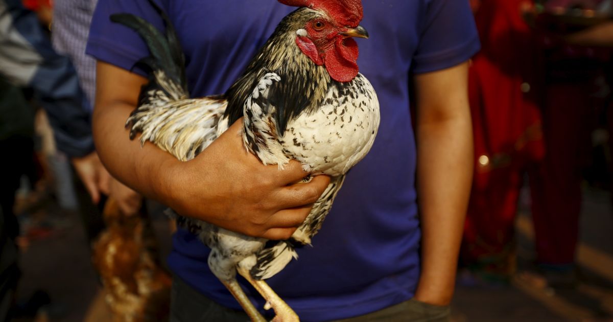 В Непале приветствуют приход Нового года и весны. / © Reuters