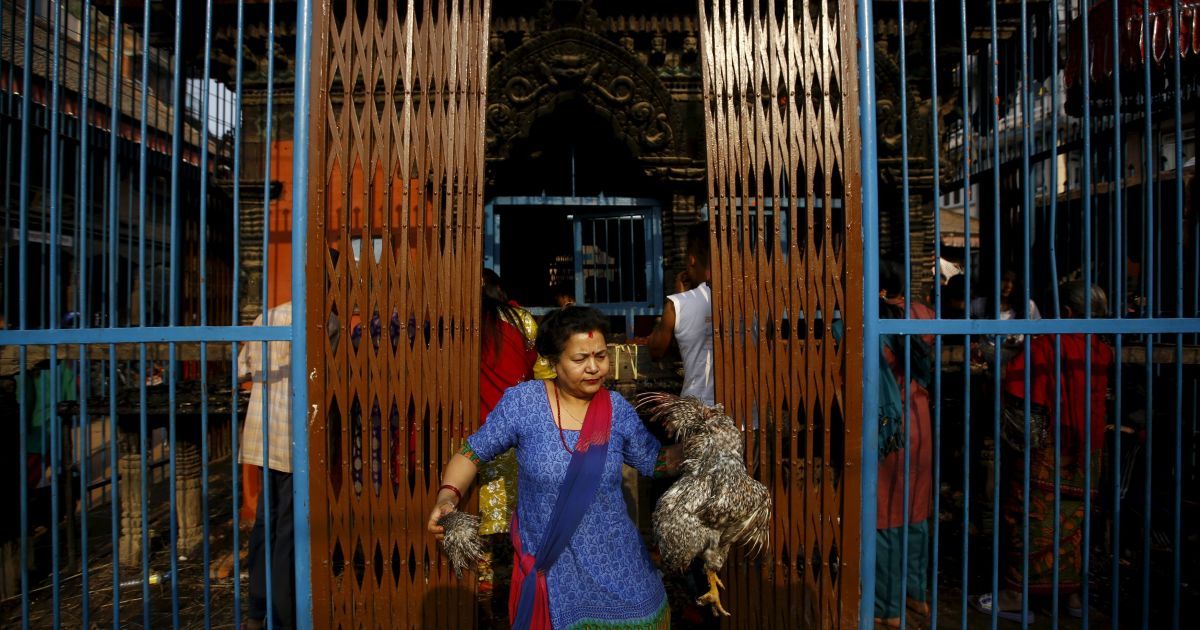 В Непале приветствуют приход Нового года и весны. / © Reuters