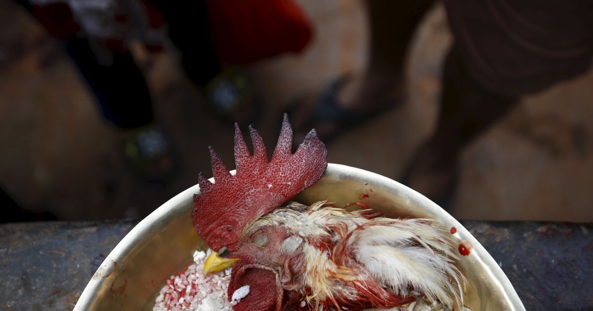 В Непале приветствуют приход Нового года и весны. / © Reuters