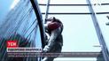 Новости мира: французский смельчак Ален Робер забрался на многоэтажку во Франкфурте