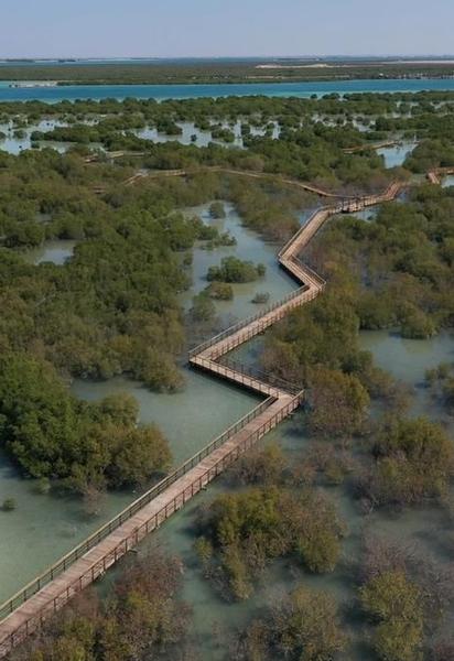 В Абу-Дабі з'явиться унікальна зона для туристів