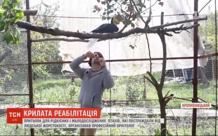 У Кропивницькому орнітолог організував реабілітаційний центр для птахів, яких скривдили господарі