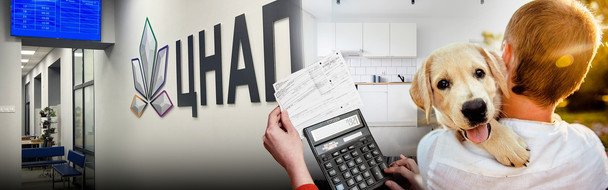 Увеличат ли в Киеве коммуналку владельцам собак: что известно