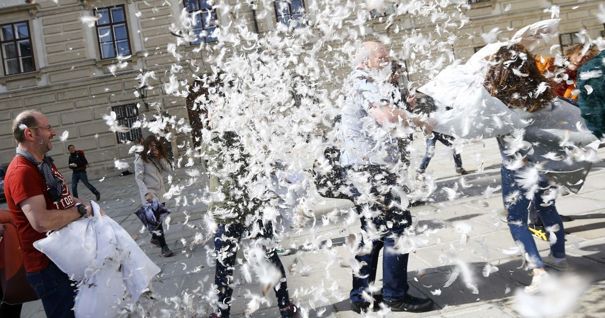 Подушечные бои в Вене, Австрия. / © Reuters