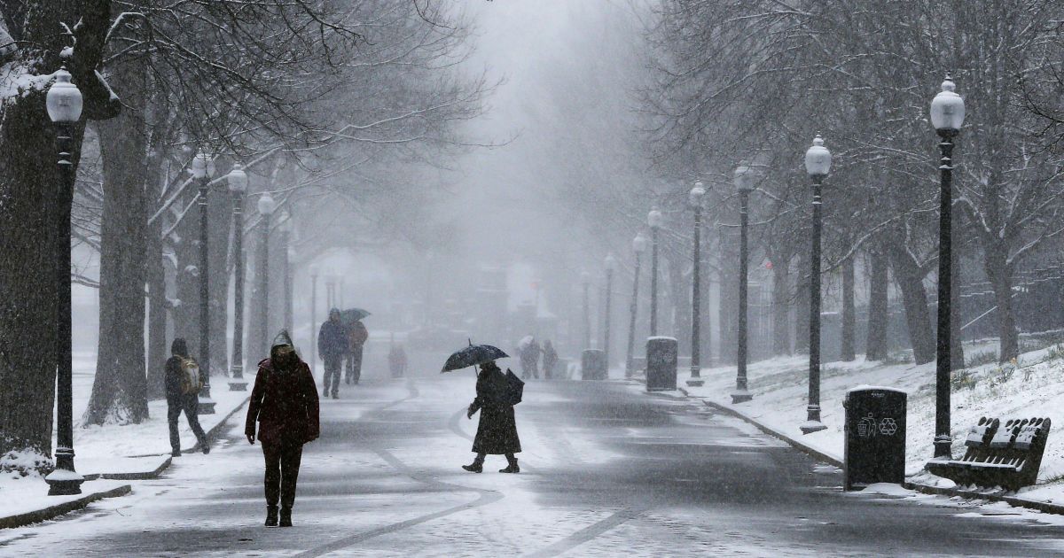 сніг у сша_6 / © Reuters