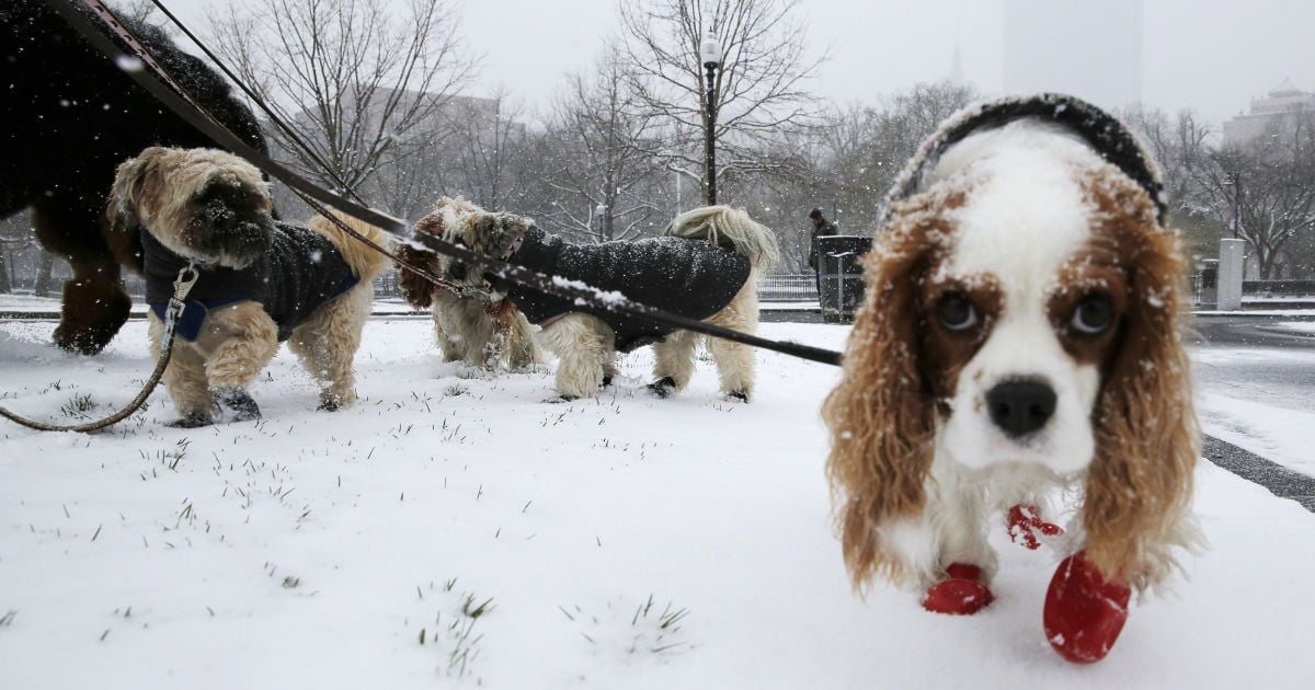 Снег в апреле. Метель накрыла Бостон и Нью-Йорк