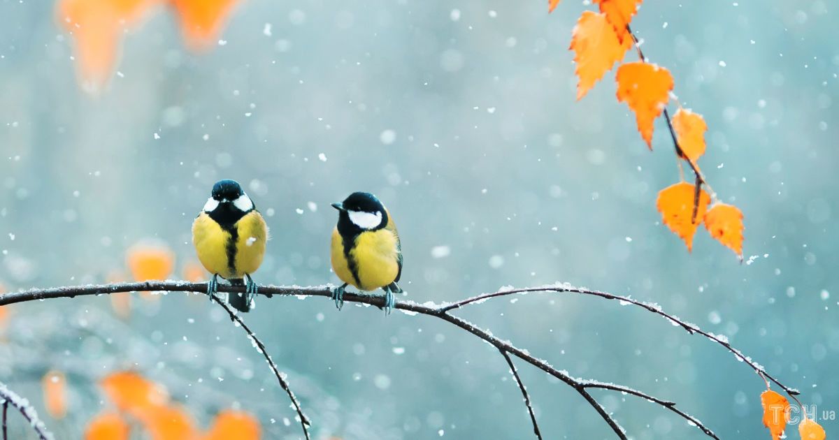 Гороскоп на 21 октября для всех знаков Зодиака