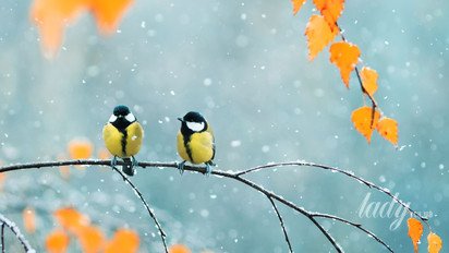 Гороскоп на 23 октября