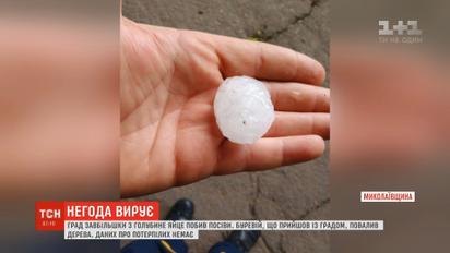 На Николаевщине выпал гигантский град