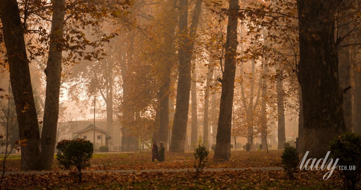 Осіння апатія: як повернути собі мотивацію
