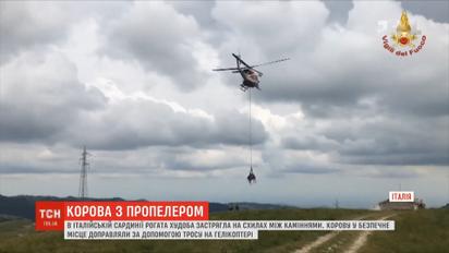 Корову с помощью вертолета спасали в итальянской Сардинии