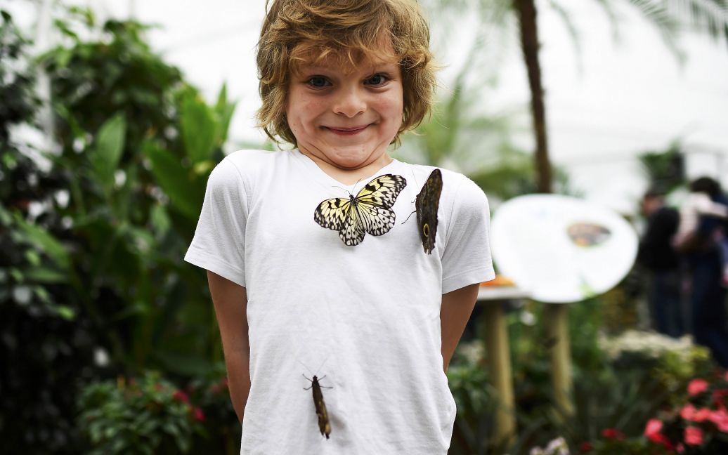 Шестирічний Адам позує з метеликами / © Reuters