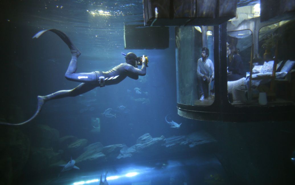 Аквалангіст робить фото, як люди дивляться на акул з підводної конструкції, встановленої в кімнаті-акваріум у Парижі, Франція. / © Reuters