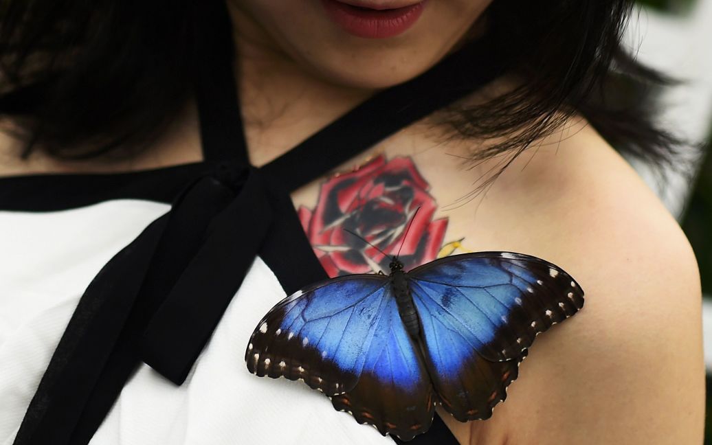 Роза, японський телевізійний журналіст, позує з метеликом Morpho / © Reuters