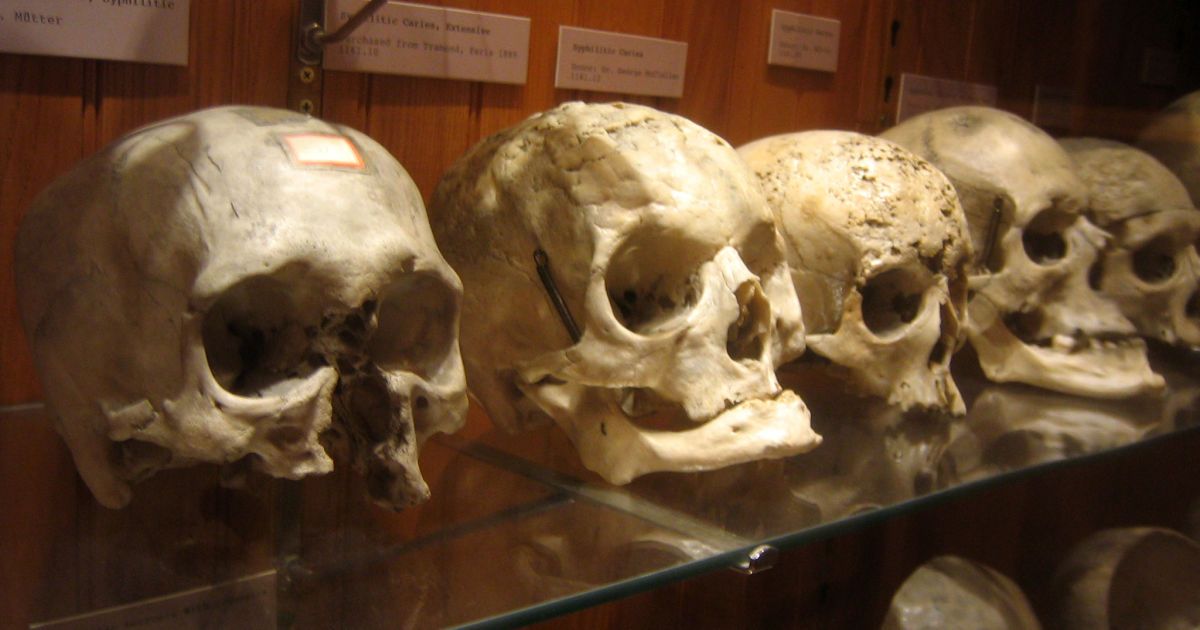 Предполагаемый череп Шекспира могли украсть