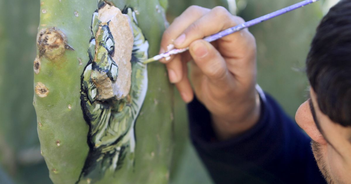 Малюнки на кактусах_3 / © Reuters