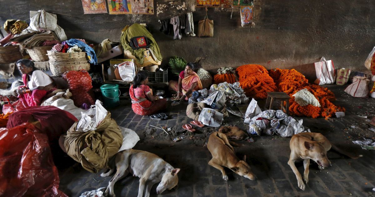 Вуличне життя у Колкаті Індія_10 / © Reuters