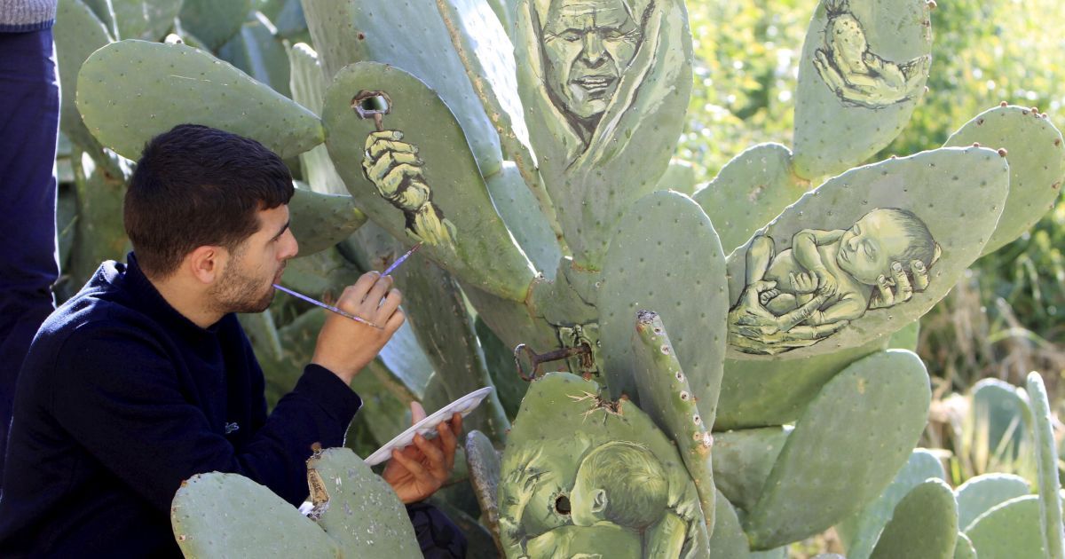 Малюнки на кактусах_2 / © Reuters