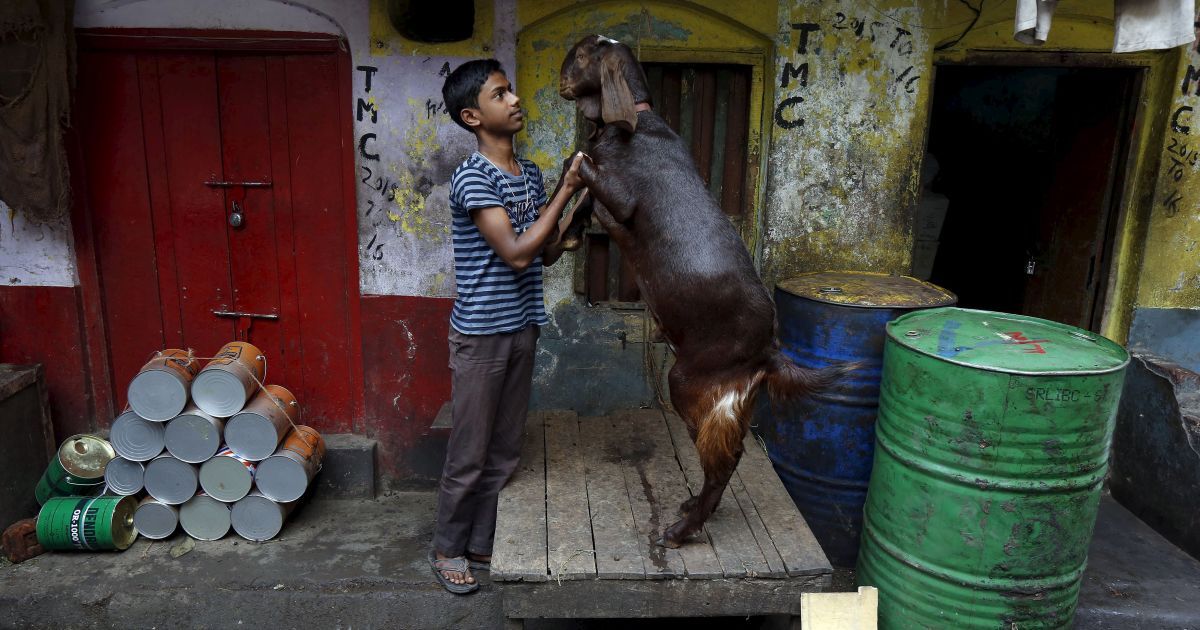 Вуличне життя у Колкаті Індія_12 / © Reuters