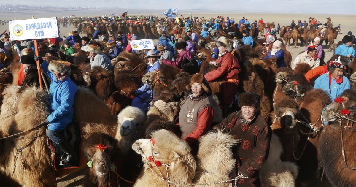 Фестиваль верблюдів у Монголії_10 / © Reuters