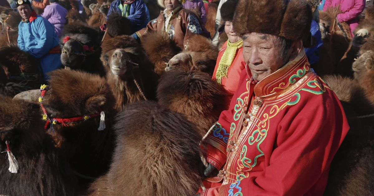 Фестиваль верблюдів у Монголії_3 / © Reuters