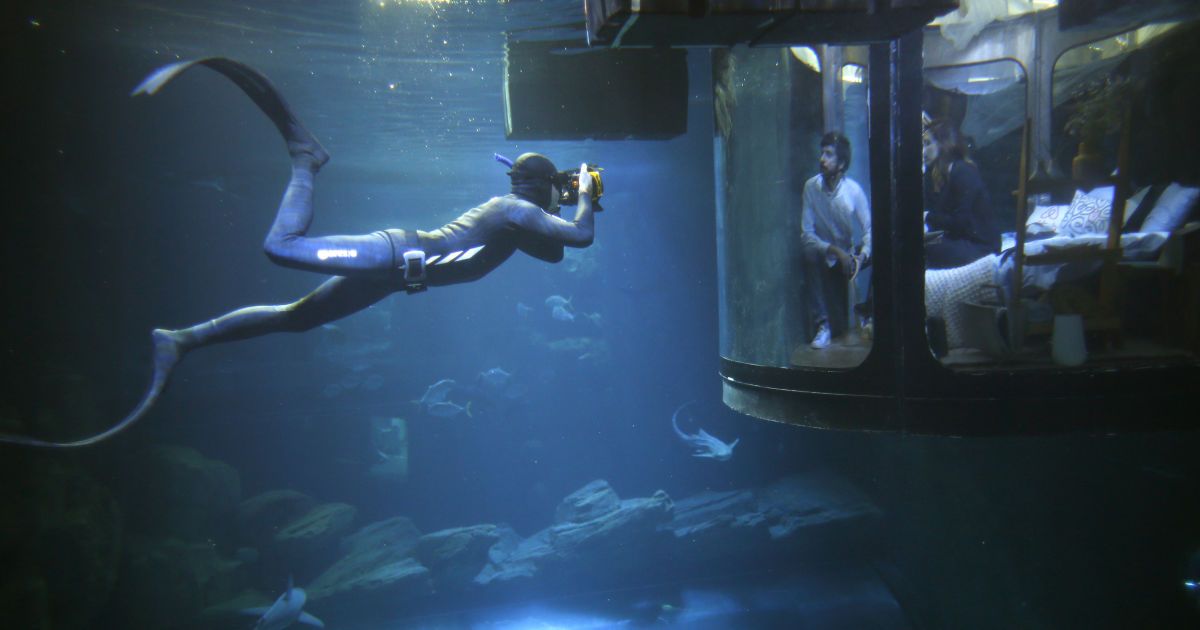 Аквалангист делает фото, как люди смотрят на акул с подводной конструкции, установленной в комнате-аквариум в Париже, Франция.