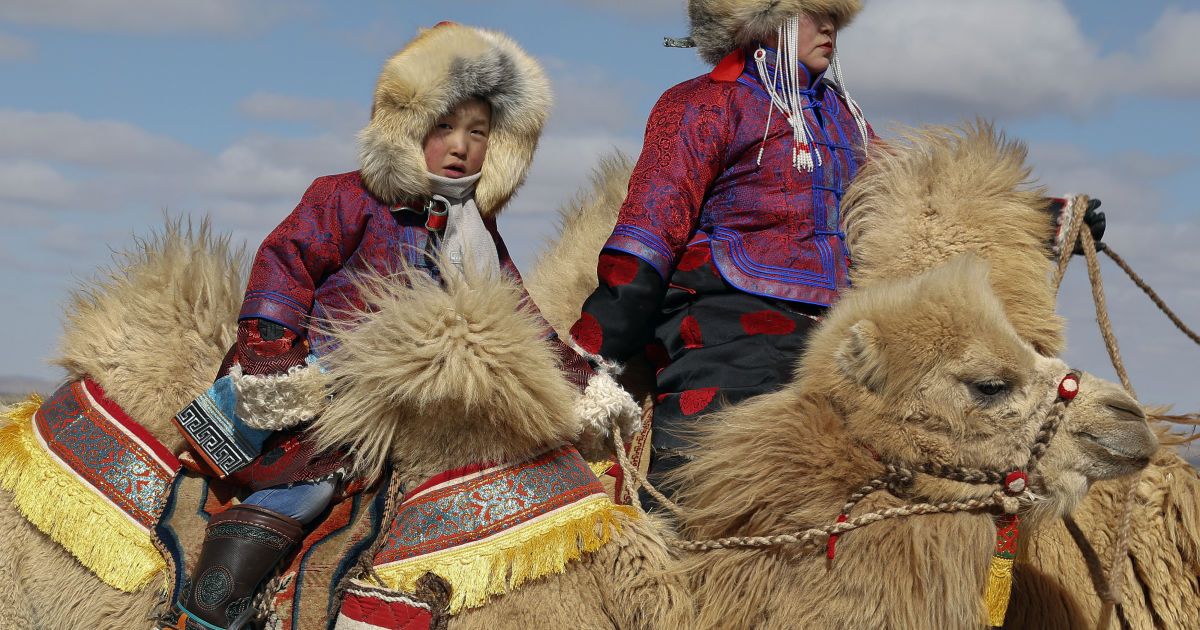 Фестиваль верблюдів у Монголії_11 / © Reuters