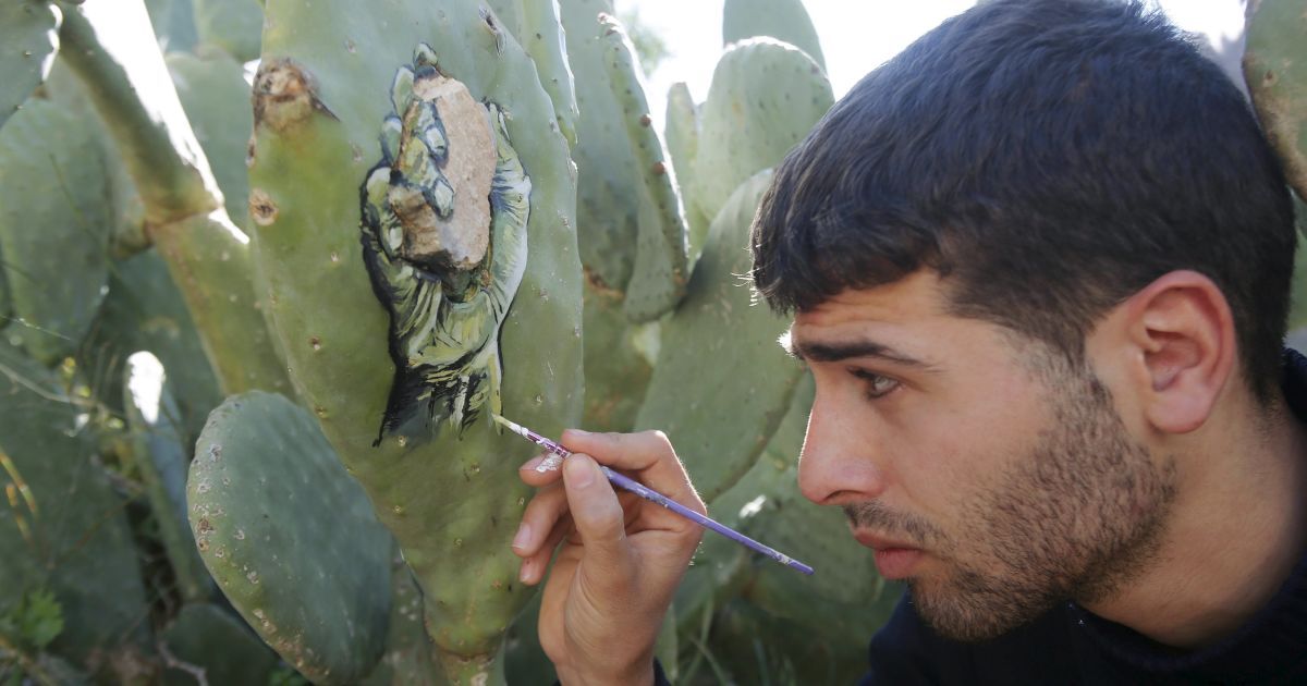 Колючее искусство: палестинский художник пишет картины на кактусах