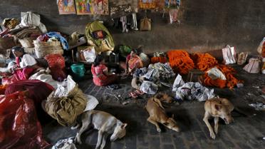 Вуличне життя у Колкаті Індія_10 / © Reuters