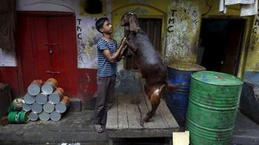 Вуличне життя у Колкаті Індія_12 / © Reuters